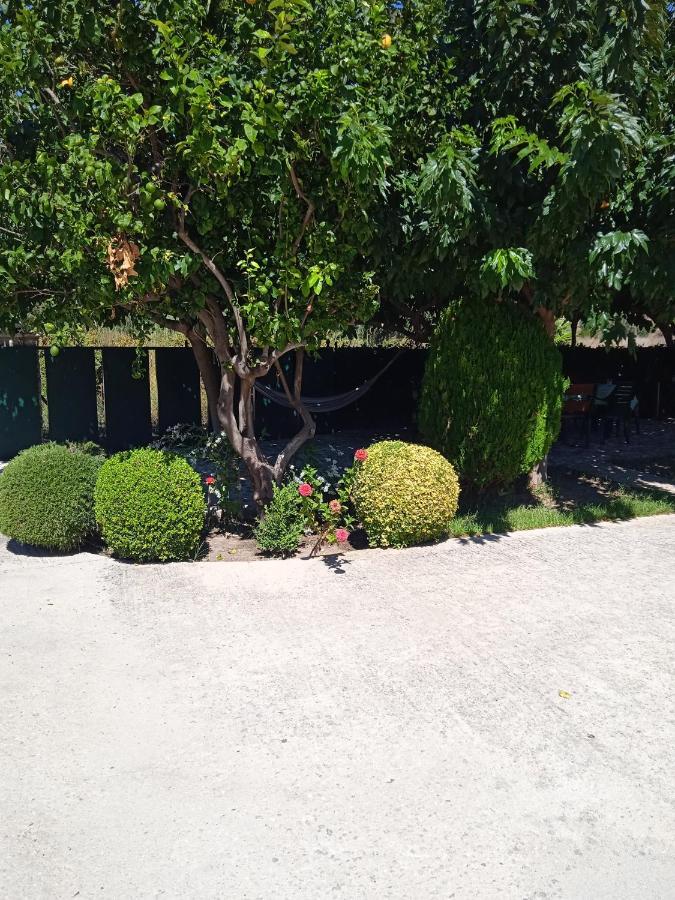 Katerina House Apartment Finikounta Exterior photo